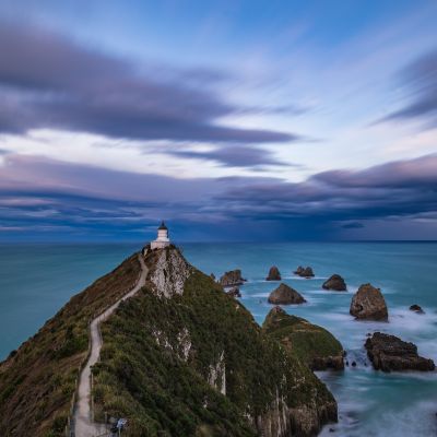 Post donec et tristique turpis Alt Text