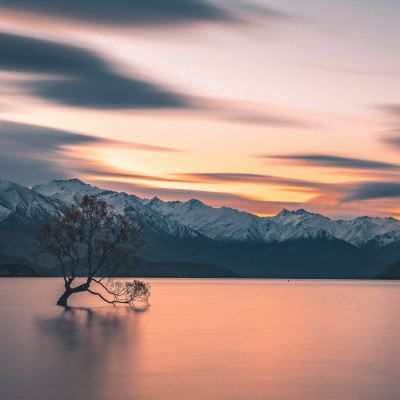 Semper dignissim augue vel posuere